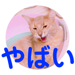 [LINEスタンプ] レオたんスタンプ2だよ