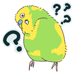 [LINEスタンプ] もちふわインコ