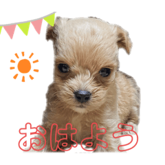 [LINEスタンプ] bungoのスタンプ