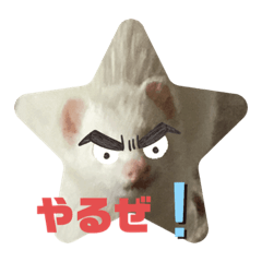 [LINEスタンプ] フェレットのお顔