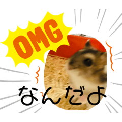 [LINEスタンプ] チャチャのスタンプです！