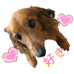 [LINEスタンプ] ChappyCooChocoTaro