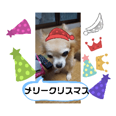 [LINEスタンプ] 俺スタンプ  8  (冬編)