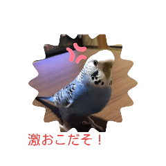 [LINEスタンプ] ラムネちゃん♡