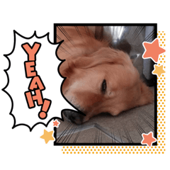 [LINEスタンプ] 愉快な怜央34
