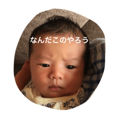 [LINEスタンプ] やなしゅんすたんぷ