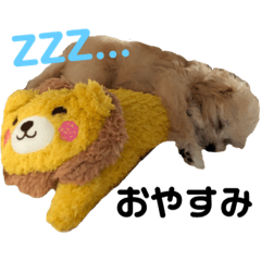 [LINEスタンプ] マルプーみるもとチンチラちっち