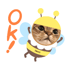 [LINEスタンプ] ねこだけどイタチ