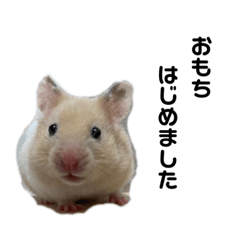 [LINEスタンプ] おもちはじめました