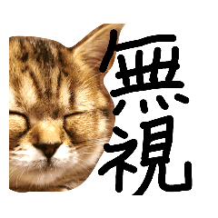 [LINEスタンプ] ぺこぽこスタンプ3