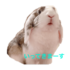[LINEスタンプ] ロップイヤーのTiffanyくん2nd Street
