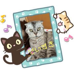 [LINEスタンプ] 大好きディアナちゃん