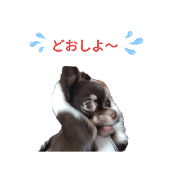 [LINEスタンプ] チロル×チロル