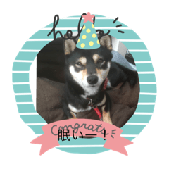 [LINEスタンプ] たかきオリジナル