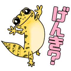 [LINEスタンプ] レオパードゲッコーず！