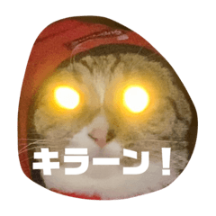 [LINEスタンプ] たまたまたまたまたまたまたま