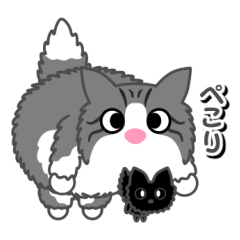 [LINEスタンプ] もふねこ「すのー」通信 3