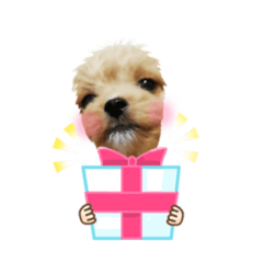 [LINEスタンプ] bungoのスタンプ3