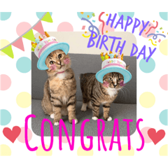 [LINEスタンプ] りこちこボンボンはなび