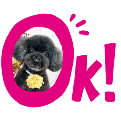 [LINEスタンプ] まりぼー⭐︎