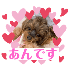 [LINEスタンプ] うちの子3ワンシリーズ1