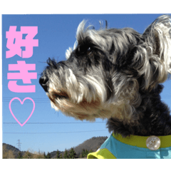 [LINEスタンプ] アベルくんとココアくん