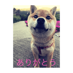 [LINEスタンプ] ゆりちゃん Part1