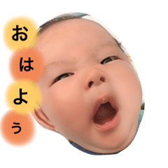[LINEスタンプ] とうまでしゅ