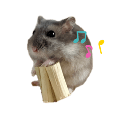 [LINEスタンプ] ハム男☆図鑑