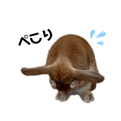 [LINEスタンプ] おだし feat.ひめ