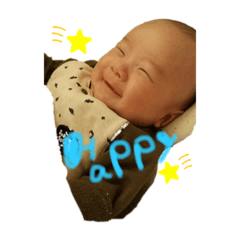 [LINEスタンプ] 大福こうちゃん
