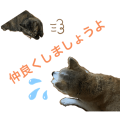 [LINEスタンプ] 我が家の小言1️⃣