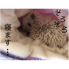 [LINEスタンプ] モグのすけ