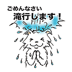 [LINEスタンプ] ユーモアねこりんシロ丸 元気だそっ！