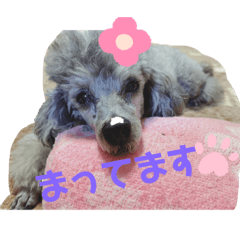 [LINEスタンプ] 畑家のペット