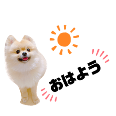 [LINEスタンプ] ポコ（3）