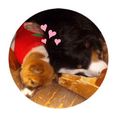 [LINEスタンプ] さりとあぶとまは