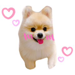 [LINEスタンプ] ポコ（2）