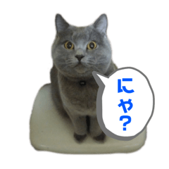 [LINEスタンプ] ぴっころのスタンプ2