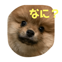 [LINEスタンプ] ぽぬたん3