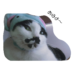 [LINEスタンプ] ねこたんねこまんオリジナルスタンプ第8段