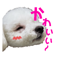 [LINEスタンプ] fuwawa2.