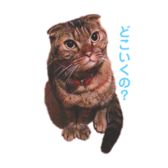 [LINEスタンプ] メイのスタンプたち