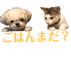 [LINEスタンプ] すみれのうめまつスタンプ
