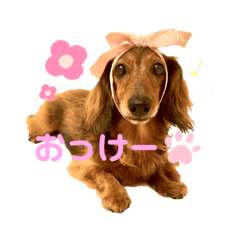 [LINEスタンプ] てぃあらたん