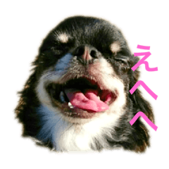 [LINEスタンプ] つぶあん君のスタンプ