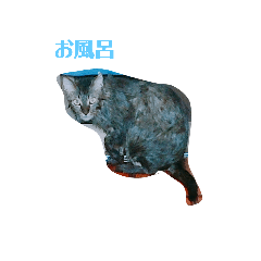 [LINEスタンプ] 猫0212