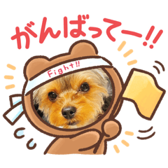 [LINEスタンプ] マロちゃんスタンプ第一弾