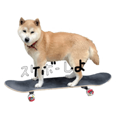 [LINEスタンプ] 柴犬のななちゃん。
