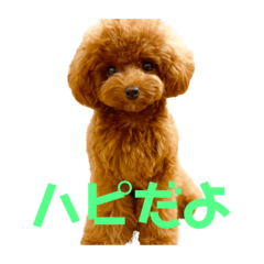 [LINEスタンプ] ハッピー(146)